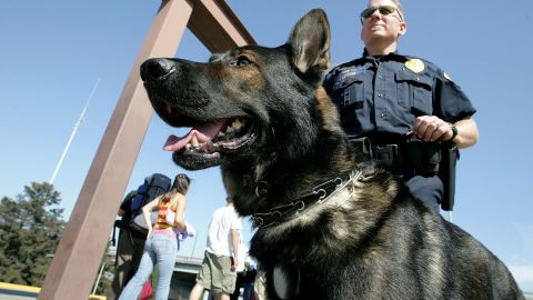 OAKLAND, CA - AUGUST 11: Bay Area Rapid Transit police officer Jason Ledford patrols with his bomb-sniffing dog Andy at the Oakland Coliseum station August 11, 2005 in Oakland, California. BART remains at a heightened state of alert following the recent London Underground bombings and is preparing to launch a poster campaign in its stations that encourage riders to report suspicious packages and activity. (Photo by Justin Sullivan/Getty Images)