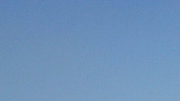 Crucero presenta casos de coronavirus al llegar a Nueva Orleans.