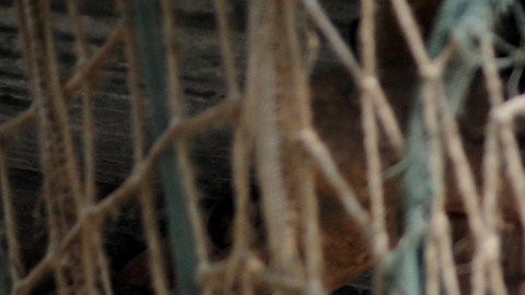Tropas indias disparan a camión lleno de jornaleros por error; hay al menos 13 muertos