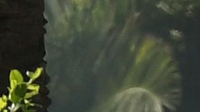 Police and investigators at the scene where three people killed during a shooting after a dispute at at a pop-up Jamaican restaurant in Los Angeles on October 15, 2016. Three people were killed and at least a dozen more injured, police said Saturday. One person has been arrested and police have launched a manhunt for another in connection with the deadly incident in West Adams, in the southwestern part of the metro area, said spokesman Lieutenant Chuck Springer. / AFP / Mark RALSTON (Photo credit should read MARK RALSTON/AFP via Getty Images)