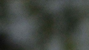 Imagen de archivo. Policías de Iowa.