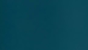 BIRMINGHAM, ENGLAND - MARCH 10: Freddie, a two-year-old French bulldog dog, poses for a photograph on the second day of Crufts Dog Show at the NEC Arena on March 10, 2017 in Birmingham, England. First held in 1891, Crufts is said to be the largest show of its kind in the world. The annual four-day event features thousands of dogs, with competitors travelling from countries across the globe to take part and vie for the coveted title of 'Best in Show'. (Photo by Matt Cardy/Getty Images)