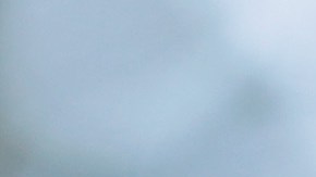 Bella Hadid | Getty Images