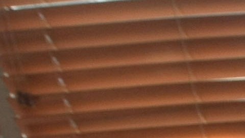 Qué restaurantes están abiertos en Navidad-GettyImages-84610821.jpeg