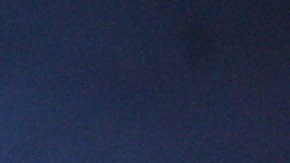 Tiranosaurio Rex con suéter navideño causa sensación en el Museo de Historia Natural de Londres