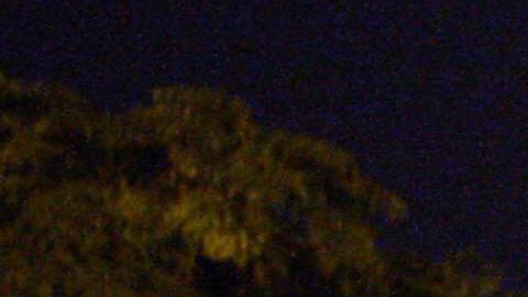 Ola de asesinatos en México promedió 30 casos diarios en los primeros 11 meses de 2021