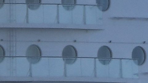 Se prohibió atracar a cuatro cruceros en distintos puertos por covid-19