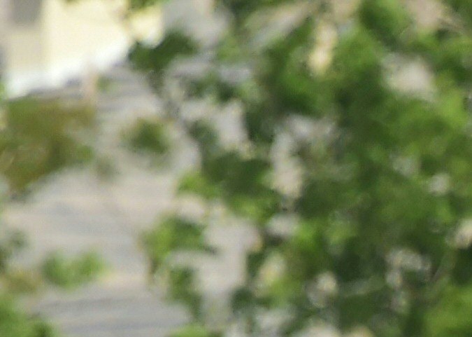 Police man an intersection May 11, 2018 following reports of shooting at Highland High School in Palmdale, 40 miles (65 kilometers) north of downtown Los Angeles. - Police arrested a man after reports of shootings at two schools near Los Angeles, the local sheriff's department and education officials said. The Los Angeles County Sheriff said one suspect had been detained "regarding the person with a gun" at Highland High School. Local news reports had earlier said that at least one person had been wounded. It was not immediately clear what type of weapon the man had. (Photo by Frederic J. BROWN / AFP) (Photo credit should read FREDERIC J. BROWN/AFP via Getty Images)