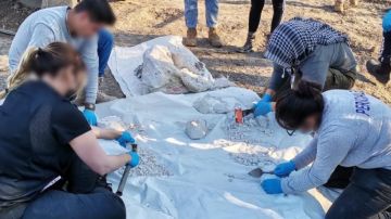 Cierran búsqueda de personas con hallazgo de 11 cadáveres en fosas clandestinas al sur de México