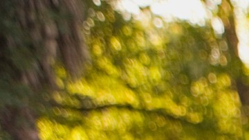 Hero-Image_GettyImages-85630395