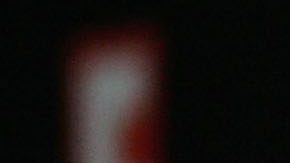 Holly Madison revela parte de su convivencia en la Mansión Playboy.