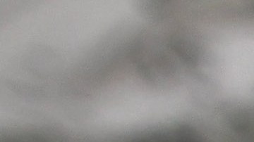 Hombre compra dibujo por $30 dólares sin saber que es un Durero auténtico con valor de $50 millones