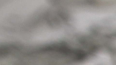 Hombre compra dibujo por $30 dólares sin saber que es un Durero auténtico con valor de $50 millones