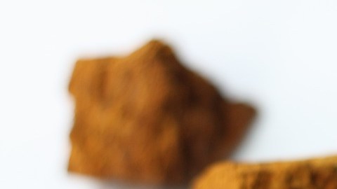 Hongo Chaga