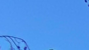 De izquierda a derecha, los jornaleros Emiliano Vázquez Leyva, César García y Néstor Escobar.