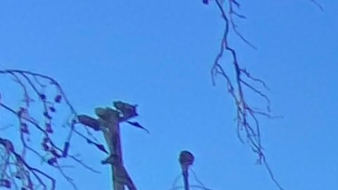 De izquierda a derecha, los jornaleros Emiliano Vázquez Leyva, César García y Néstor Escobar.