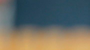 Leo Fernández no pudo consolidarse en los Tigres UANL.