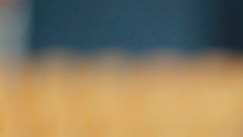 Leo Fernández no pudo consolidarse en los Tigres UANL.