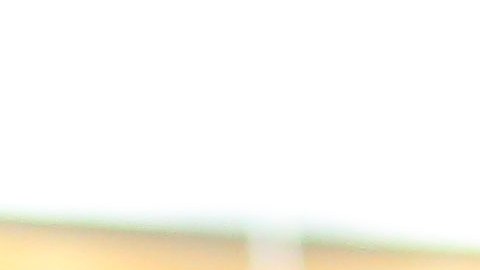 El América le dio un voto de confianza a Santiago Solari para que desarrolle su proyecto en el club,