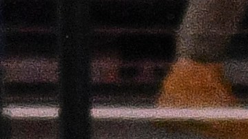 Estados Unidos vs. México