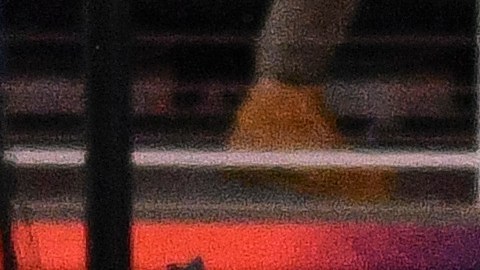 Estados Unidos vs. México