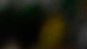 Gicnac se encara con el médico de conmociones del partido León - Tigres.