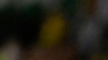 Gicnac se encara con el médico de conmociones del partido León - Tigres.