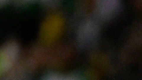 Gicnac se encara con el médico de conmociones del partido León - Tigres.