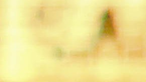 El reconocido luchador mexicano, Rey Misterio, es fanático del fútbol.