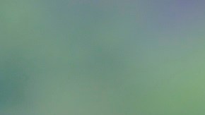 Alejandro Arribas jugó entre 2017 y 2019 con los Pumas.