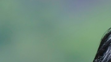 Alejandro Arribas jugó entre 2017 y 2019 con los Pumas.