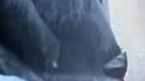 Incendio deja al descubierto narcolaboratorio en edificio de departamentos con familias.