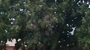 Escena del crimen donde el Chino Leandro mató a 2 jóvenes.