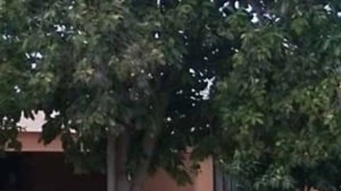 Escena del crimen donde el Chino Leandro mató a 2 jóvenes.