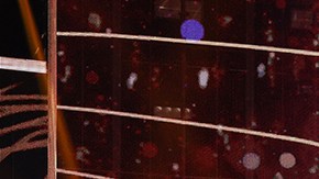 Los Pernía ganan 'Así Se Baila'