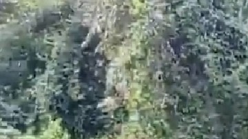 Madre lanza a sus tres pequeñas hijas a río.