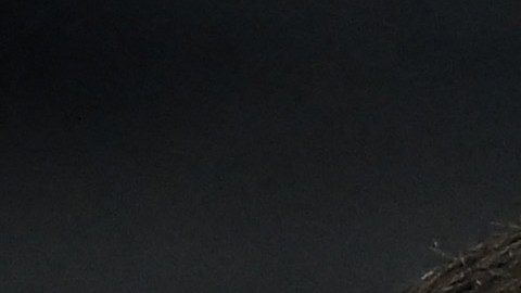 Los compañeros de MBappé bromearon con el francés entorno a su renovación con el PSG.