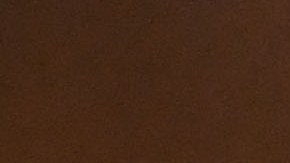 Miguel Herrera explotó luego de que los jugadores de León celebraran el gol en su cara.