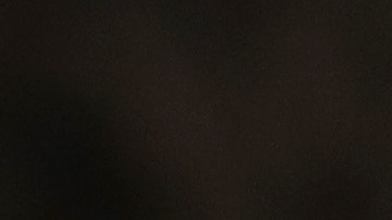 Mujer muere tras ser embestida por una oveja en granja de terapia curativa