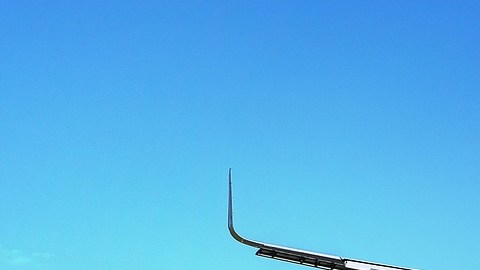 Mujer viaja de Las Vegas hasta Australia para encontrarse con su primera cita en Tinder