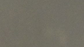 Nadie ha muerto por la variante Ómicron todavía, revela la OMS