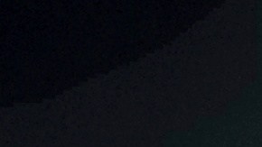 Bonifacio Sánchez, el mexicano que instala y decora el árbol navideño del Capitolio de California. (Cortesía)