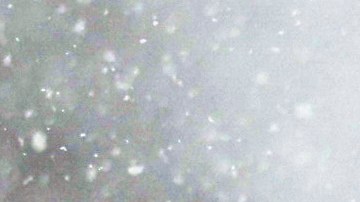 Nevadas en Estados Unidos