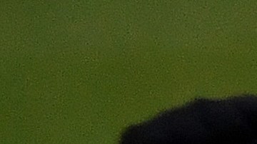 Kylian MBappe, Marquinhos y Neymar.