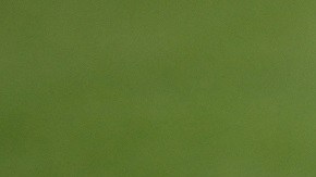 FBL-FRA-LIGUE1-PSG-TRAINING