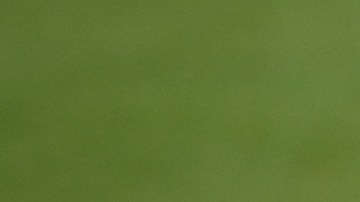 FBL-FRA-LIGUE1-PSG-TRAINING