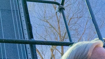 Richard Jenkins, Guillermo del Toro y Bradley Cooper durante el rodaje de Nightmare Alley.