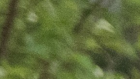 Oficial de policía de Carolina del Norte dispara por accidente a su hijo adolescente en la cabeza