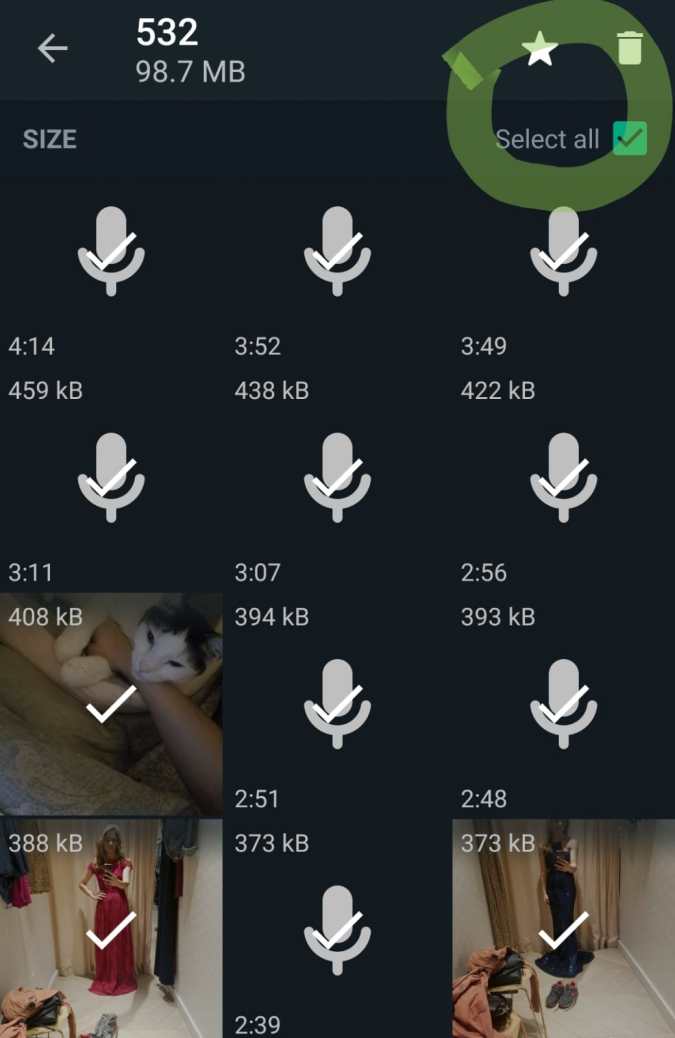 Paso 6 Whatsapp