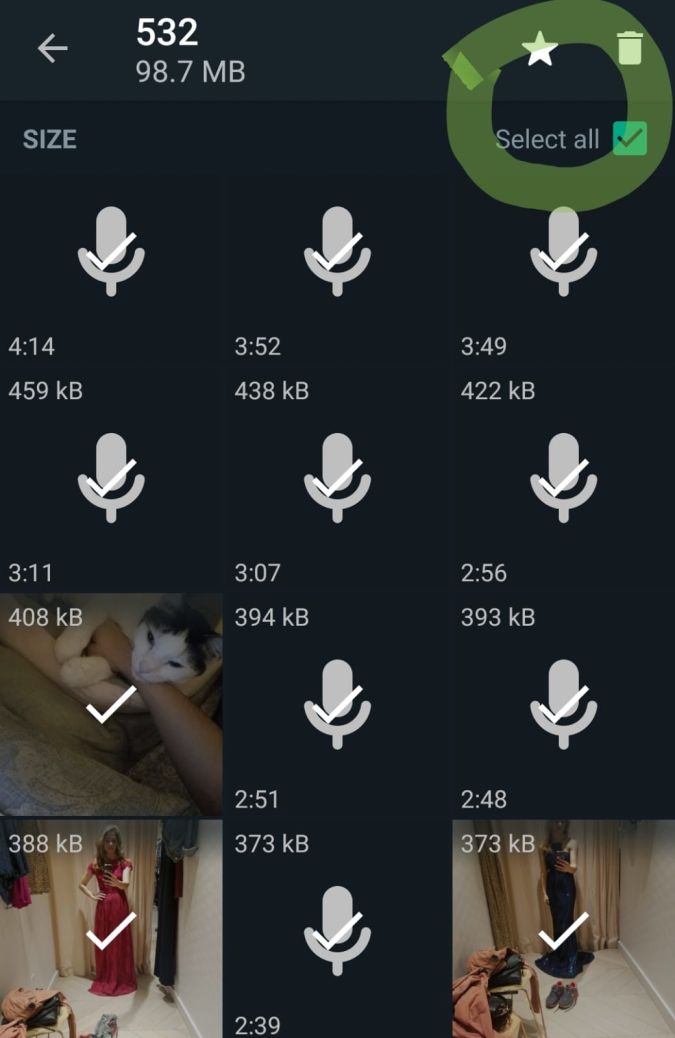 Paso 6 Whatsapp